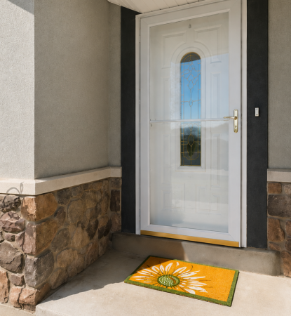 storm door
